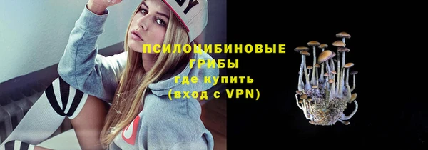 соль курить ск Белокуриха
