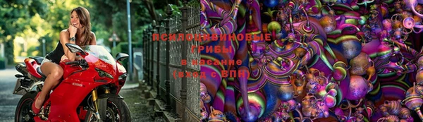 амф Белоозёрский