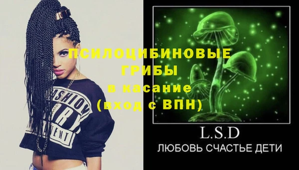 амф Белоозёрский