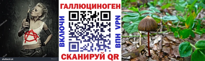блэк спрут tor  Лыткарино  Галлюциногенные грибы Cubensis  как найти закладки 
